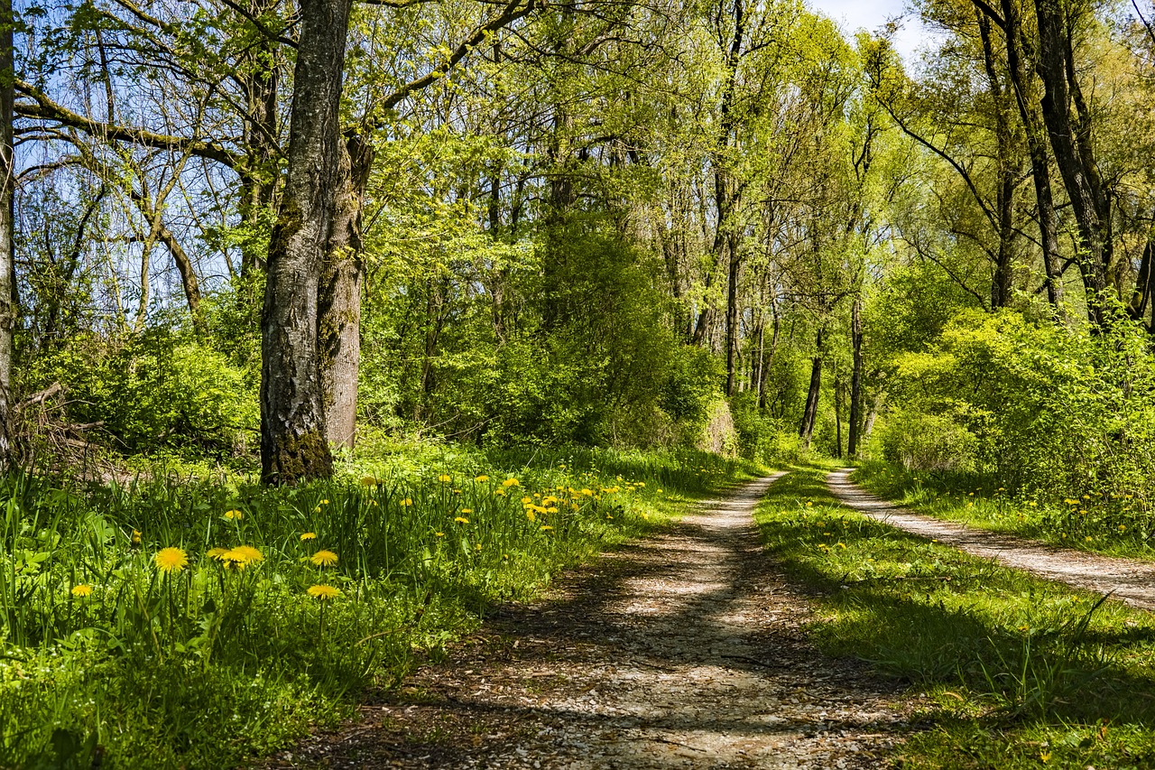 Spaziergang 1