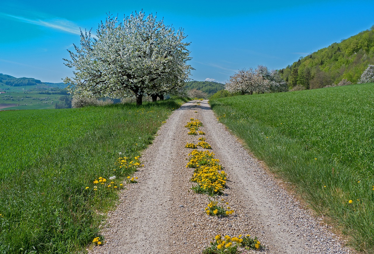 Spaziergang 2